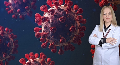 Alkan: "Korona aşısı yüksek riskli gruplara yapılabilir"