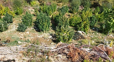 ‘Eren Huzur’ operasyonunda uyuşturuculara geçit yok