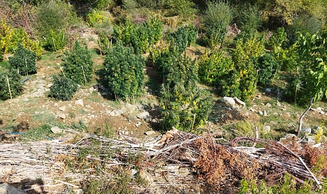 ‘Eren Huzur’ operasyonunda uyuşturuculara geçit yok