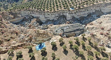 Fay hattının ortadan ikiye ayırdığı bahçede tedirgin eden hasat başladı