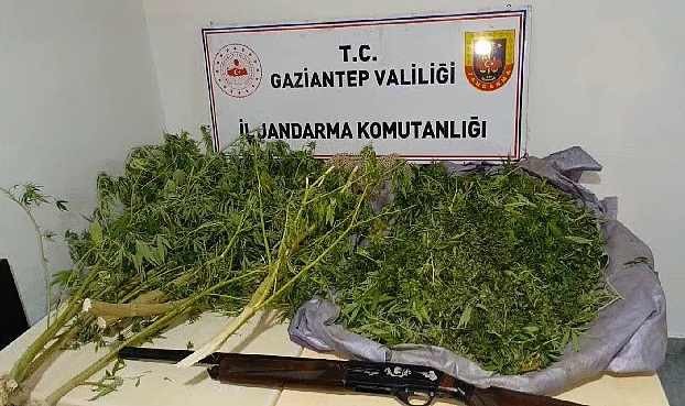 Gaziantep'te 6 kilo esrar ele geçirildi