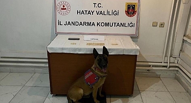 Hatay’da uyuşturucu operasyonu!