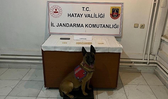 Hatay’da uyuşturucu operasyonu!