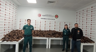 İstanbul Havalimanı’nda milyonlarca TL değerinde tilki kuyruğu yakalandı