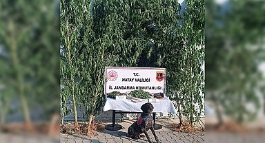Jandarmadan uyuşturucu operasyonu
