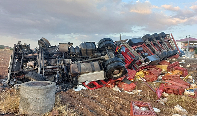 Kaza sonrası binlerce tavuk yanarak telef oldu