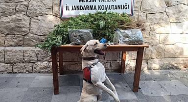 Mersin'de uyuşturucu operasyonu