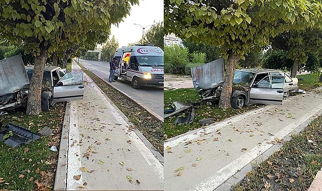 Otomobil ağaca çarptı: 1 yaralı