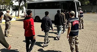 Şanlıurfa'da düzensiz göçmenlere yönelik geniş çaplı operasyon