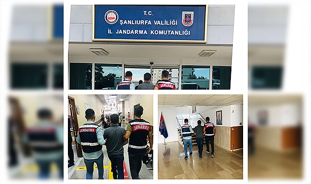 Şanlıurfa'da, jandarmadan başarılı operasyon!
