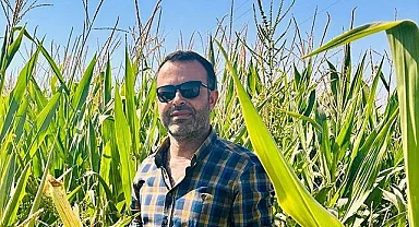 Şanlıurfa'da mısırın maliyeti hesaplandı! İşte detaylar