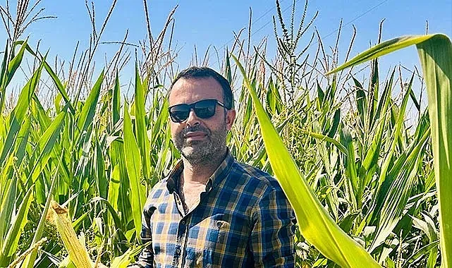 Şanlıurfa'da mısırın maliyeti hesaplandı! İşte detaylar