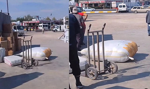 Şanlıurfa'da sokak ortasında birbirlerine ateş ettiler
