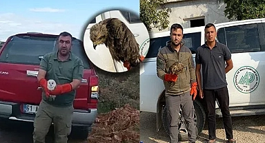 Şanlıurfa'da yaralı ve bitkin halde bulundular