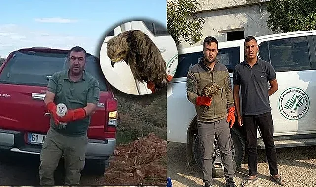Şanlıurfa'da yaralı ve bitkin halde bulundular