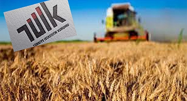 TÜİK, tarım ürünleri üretici fiyat endeksini açıkladı
