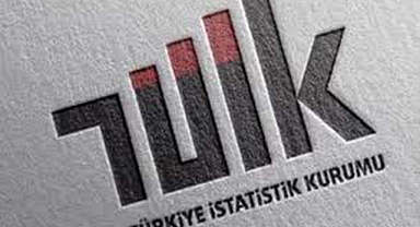 TÜİK,ücretli çalışan sayısını açıkladı