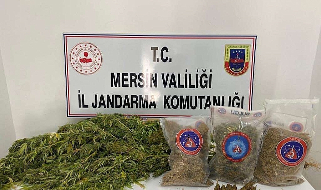 Uyuşturucu operasyonu: 3 gözaltı