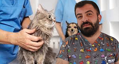 Uzmanından evcil hayvan bakım önerileri