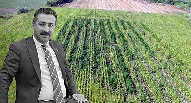 Viranşehir'de öldürülen Ömer Yazmacı'nın firari zanlısı yakalandı