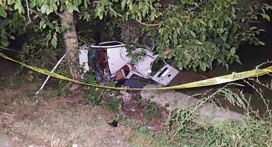 Yola fırlayan domuza çarpan araç zeytinliğe uçtu: 2 ölü