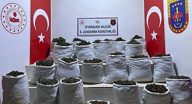 280 kilo esrar ve 244 bin 500 esrar bitkisi ele geçirildi