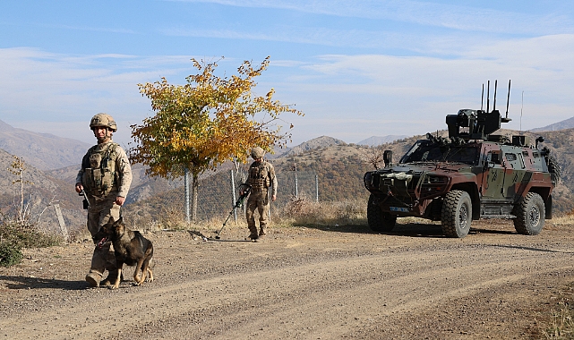 5 taburdan oluşan timler Lice'de terör operasyonuna çıktı