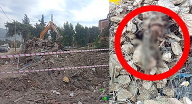 7 ay aradan sonra aynı enkazda ikinci cesed ortaya çıktı
