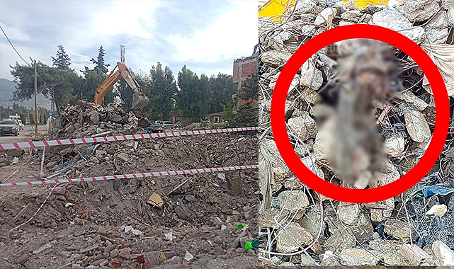 7 ay aradan sonra aynı enkazda ikinci cesed ortaya çıktı
