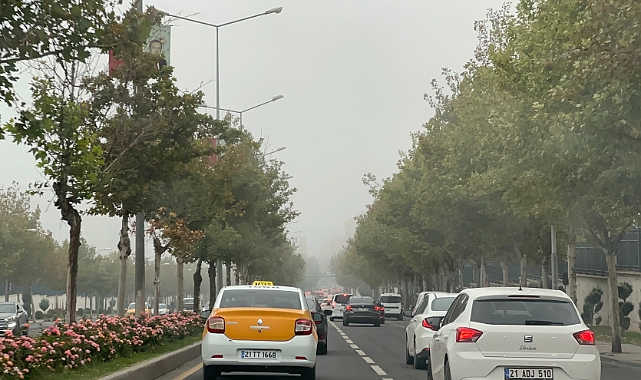 Diyarbakır-Şanlıurfa karayolunda sis etkili oldu