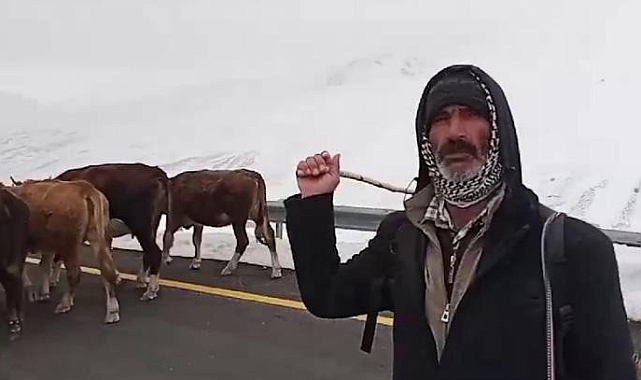 Erzurum’da yaylacıların zorlu yolculuğu