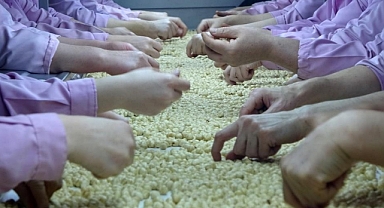 Fındık ihracatı azaldı