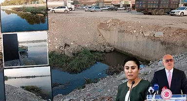 Fırat'ta doğa katliamı yapılıyor