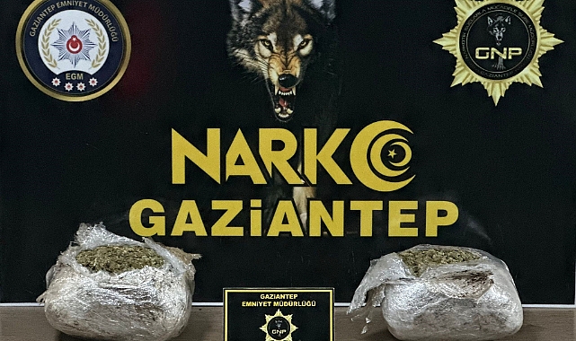 Gaziantep’te kilolarca skunk ele geçirildi