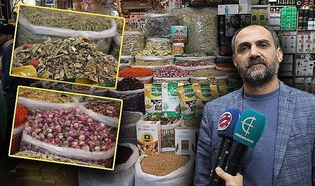 Havaların soğuması aktarcıların işine yaradı