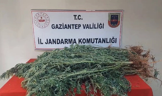Kaçakçılık ve uyuşturucu operasyonu: 157 gözaltı
