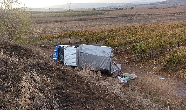 Kontrolden çıkan kamyonet üzüm bağına devrildi: 5 yaralı
