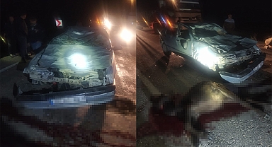 Otomobil mandalara çarptı: 2 kişi yaralandı, 3 manda telef oldu