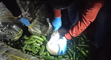 Salatalık çuvallarından uyuşturucu çıktı