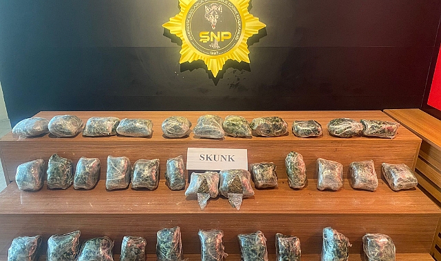 Şanlıurfa'da 21 kilo skunk ele geçirildi