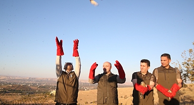 Şanlıurfa'da bin 460 kanatlı hayvan tedavi edilerek doğaya salındı