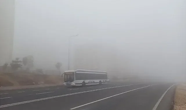 Şanlıurfa'da kış kendini gösterdi! Sürücüler zorlandı