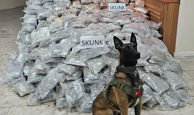 Şanlıurfa'da uyuşturucu operasyonu