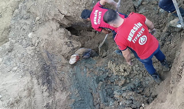 Su kuyusu açmaya çalışan 2 kişi göçük altında kalarak öldü