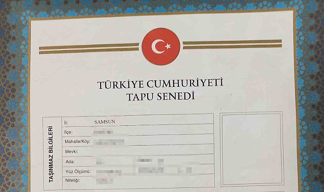 Tapuda yeni dönem: 2024 yılının sonunda tapu işlemleri kolaylaşacak
