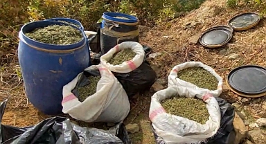 Terörün finans kaynağına darbe: 1 ton 168 kilo esrar ele geçirildi