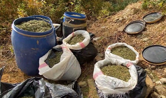 Terörün finans kaynağına darbe: 1 ton 168 kilo esrar ele geçirildi
