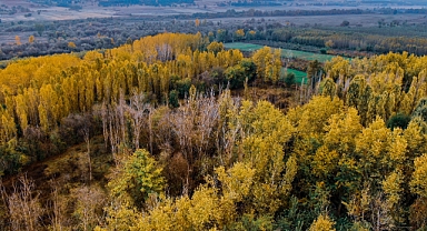 UNESCO’nun gözbebeği sonbaharda eşsiz manzarayı sergiliyor