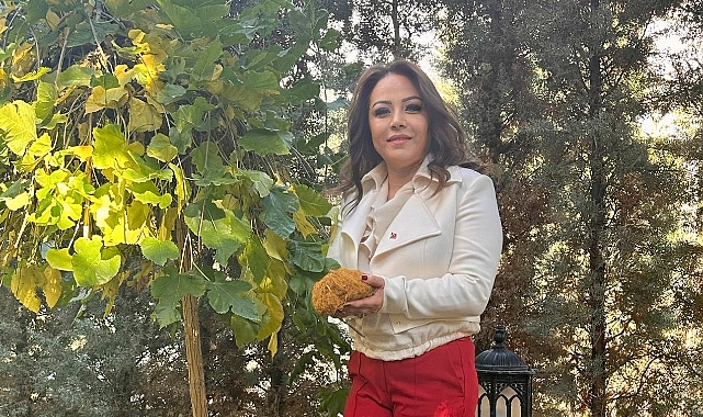 Urfalıların şifa kaynağı: Meyan kökü