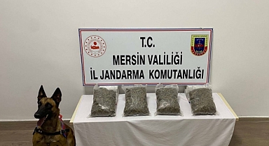 Uyuşturucu ile yakalanan 2 kişi tutuklandı